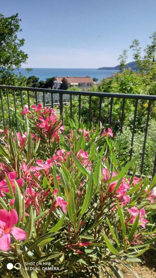 Апартаменты Apartment Jadran Becici 2 Бечичи-20