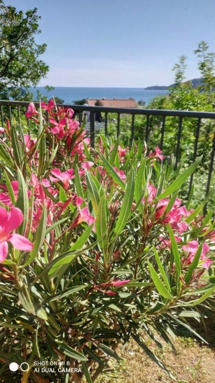 Апартаменты Apartment Jadran Becici 2 Бечичи-56