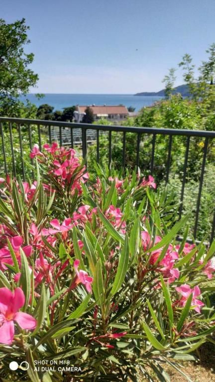 Апартаменты Apartment Jadran Becici 2 Бечичи-60