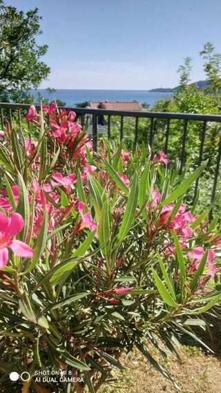 Апартаменты Apartment Jadran Becici 2 Бечичи Апартаменты-13