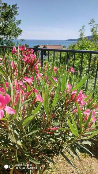 Апартаменты Apartment Jadran Becici 2 Бечичи Апартаменты-30