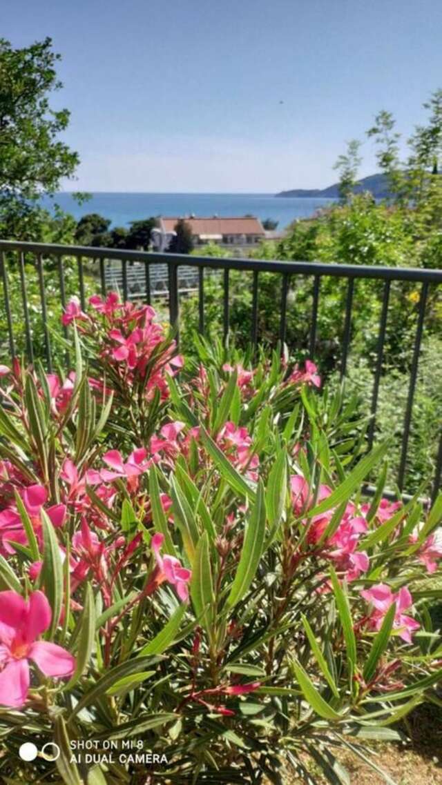 Апартаменты Apartment Jadran Becici 2 Бечичи-19