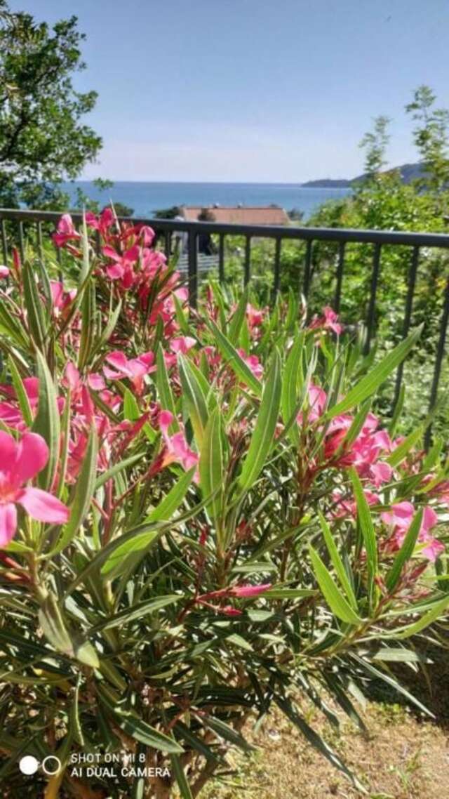 Апартаменты Apartment Jadran Becici 2 Бечичи-55