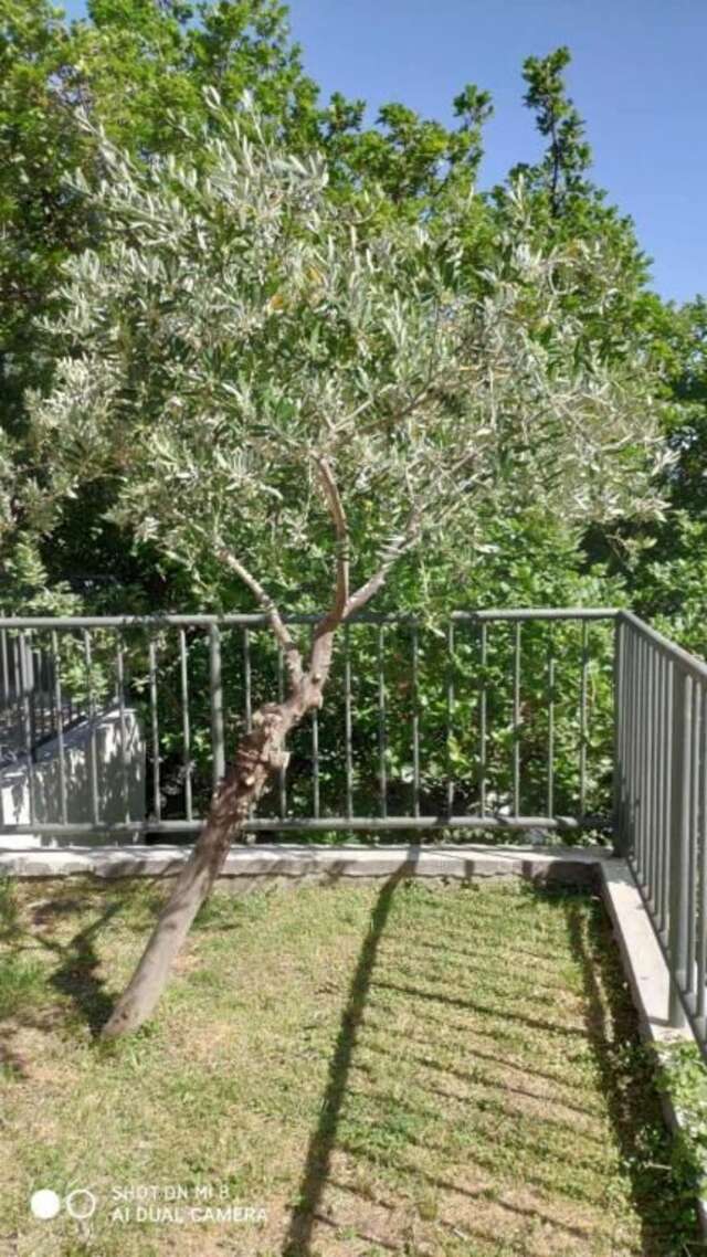 Апартаменты Apartment Jadran Becici 2 Бечичи-58