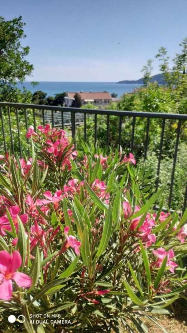 Апартаменты Apartment Jadran Becici 2 Бечичи-59