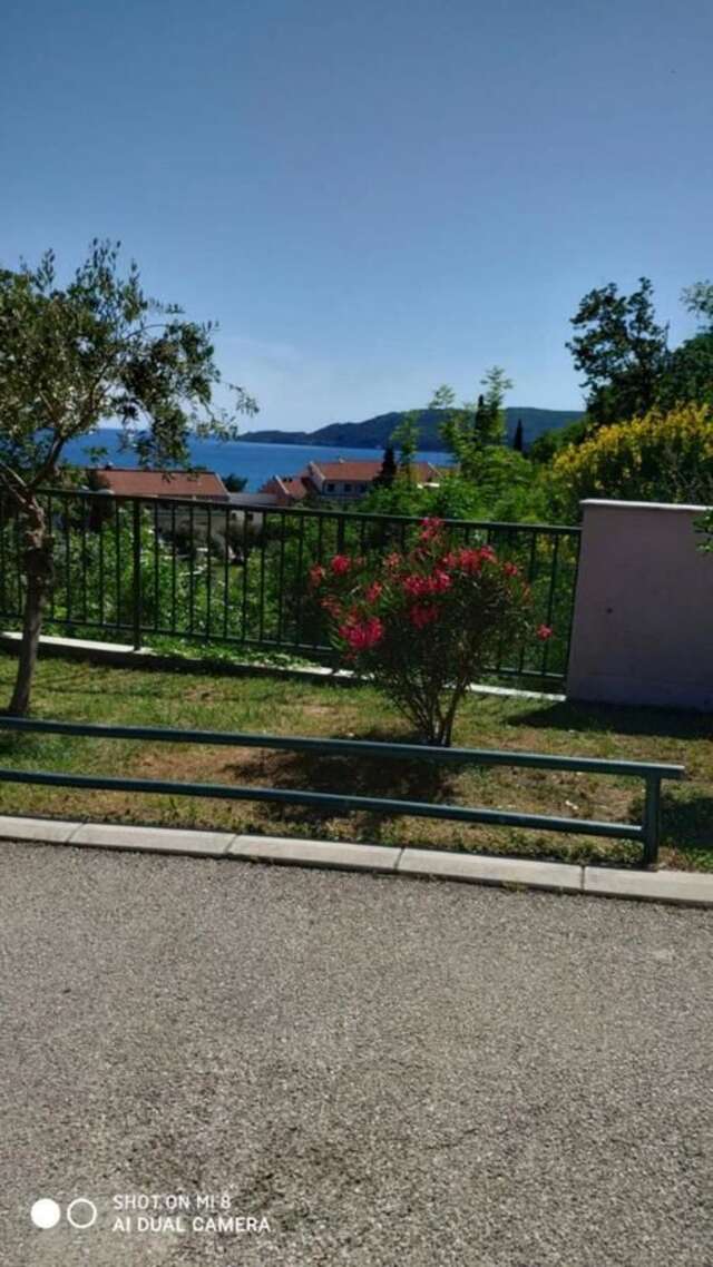 Апартаменты Apartment Jadran Becici 2 Бечичи-11